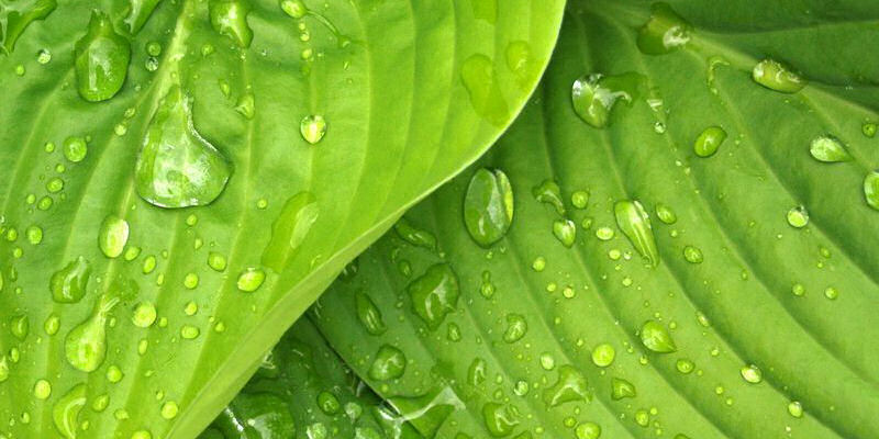 Local image of Stratford on Avon